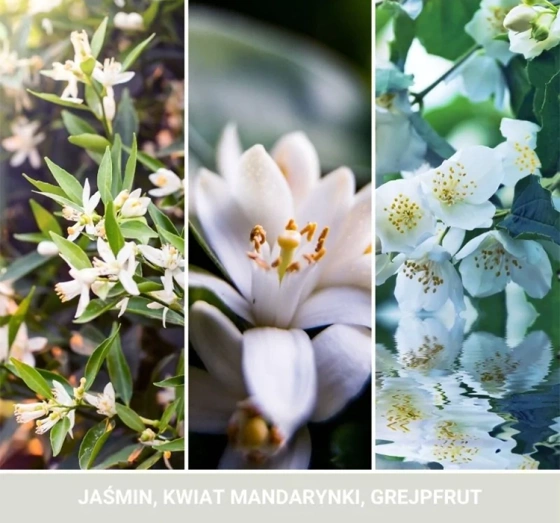 yankee candle car jar ultimate zapach do samochodu midnight jasmine