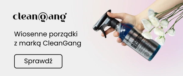 CLEANGANG