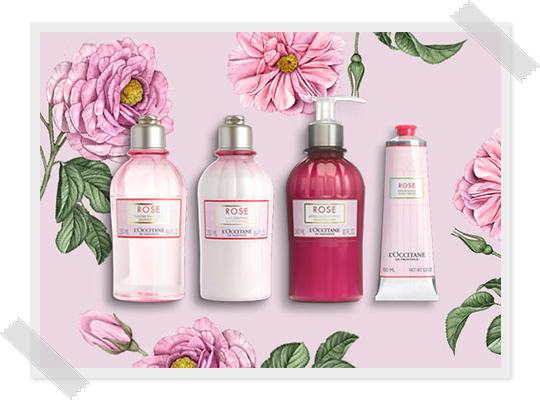 L'OCCITANE ROSE