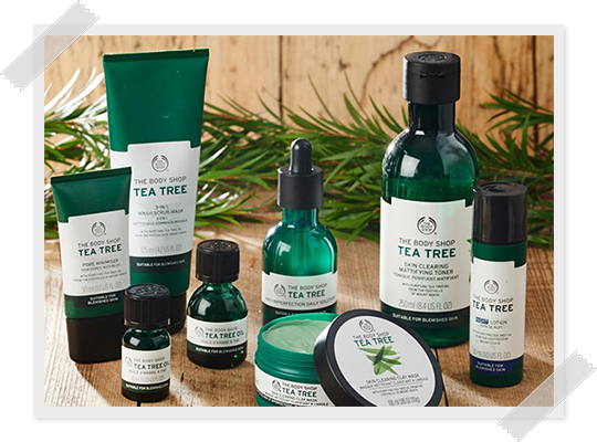 the-body-shop-tea-tree