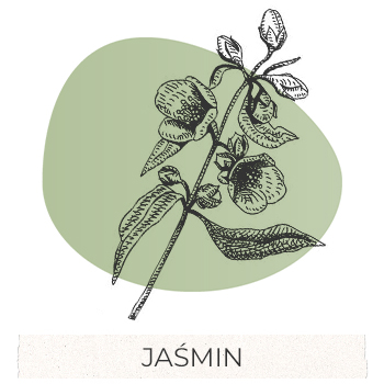 jasmin