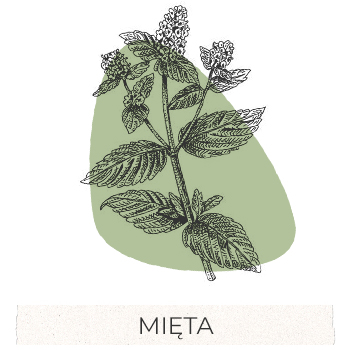 mieta
