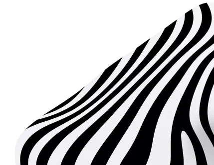 eZebra