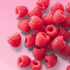 Bielenda Eco Sorbet Raspberry