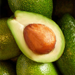 Bielenda