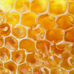 Bielenda Royal Bee Eliksir