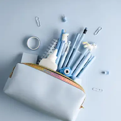 Donegal Toothbrush Case