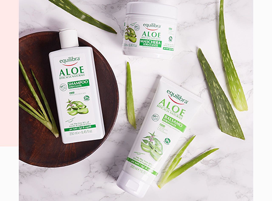 Equilibra Aloe