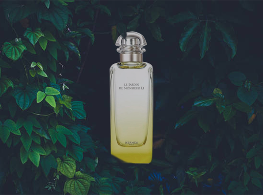 hermes Le Jardin De Monsieur Li