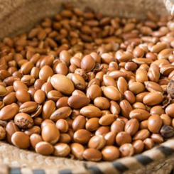 Mohani Precious Oils