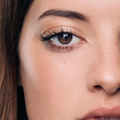 Maybelline Lift Volum' Express