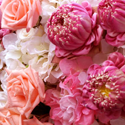 Milk_Shake Flower Fragrance