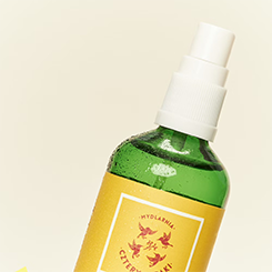 hydrolat z oczaru wirginijskiego