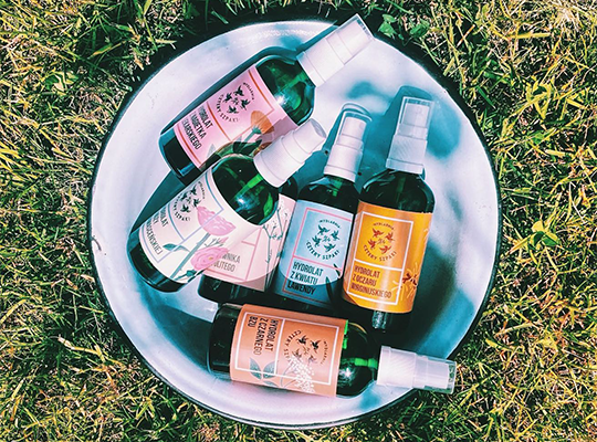 hydrolat z oczaru wirginijskiego