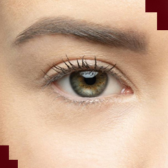 Rimmel Brow Pro Micro Kredka Do Brwi Automatyczna Ze Szczoteczka