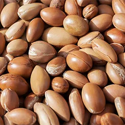 Soraya Kolagen I Argan