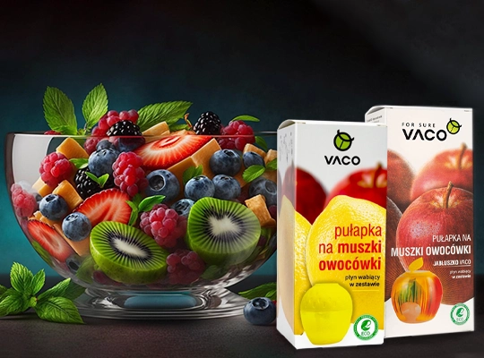 VACO pułapka na muszki owocówki