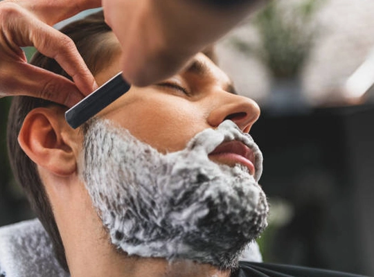 Wilkinson Sword Essential Precision Styler