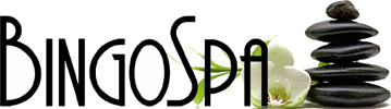BingoSpa Logo