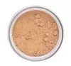INGLOT PERFECT FINISH SYPKI PUDER UTRWALAJĄCY 15 23G
