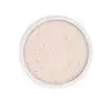 Kryolan Anti Shine puder ryżowy matujący Light 10g
