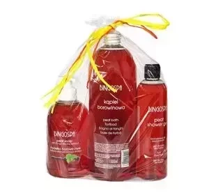 BINGOSPA Borowinowa Pielęgnacja zestaw żel 300 ml + kąpiel borowinowa 500 ml + mydełko 300 ml