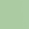 NYX Professional Makeup Pro Fix Stick korektor w sztyfcie do twarzy 0.1 Green 1,6 g