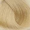 Yellow Professional Color trwała farba do włosów 10 Lightest Natural Blonde 100ml