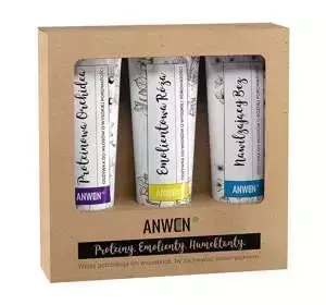 Anwen zestaw odżywek do włosów o wysokiej porowatości Róża 100 ml + Orchidea 100 ml + Bez 100 ml