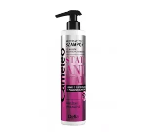 Delia Cosmetics Cameleo antystatyczny szampon do włosów niezdyscyplinowanych 250 ml