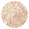 Eveline Cosmetics Wonder Match cień do powiek 05 Golden Glow 3 g