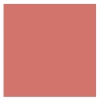 Golden Rose Creamy Blush Stick róż w sztyfcie 110