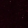Semilac Unique lakier hybrydowy 148 Night Euphoria 7 ml