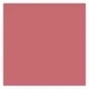 Golden Rose Creamy Blush Stick róż w sztyfcie 109
