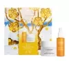 Lumene Nordic-C zestaw prezentowy serum + krem do twarzy