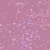 Semilac Shimmer Dust lakier hybrydowy 319 Shimmer Dust Pink 7 ml