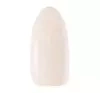 Claresa Soft & Easy żel budujący Champagne 45 g