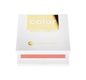 Bell Professional Color Blush róż do policzków 01 10 g