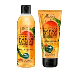 Barwa Naturalna zestaw do włosów puszących się i zniszczonych Mango szampon 300 ml + odżywka 200 ml