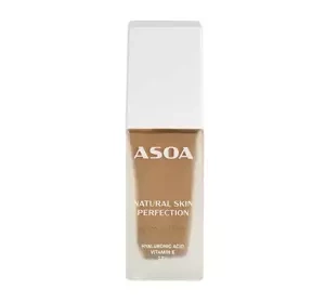 Asoa Natural Skin Perfection podkład mineralny #17 30ml