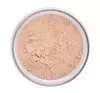 Inglot Perfect Finish sypki puder utrwalający 04 23g