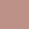 Paese NUDElightful kremowa pomadka w sztyfcie 404 Caramelized Plum 4,5 g