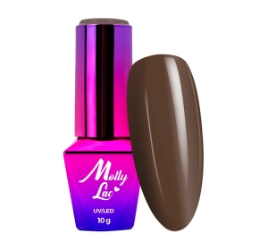 Molly Lac Choco Dreams lakier hybrydowy 356 Brownie 10 g