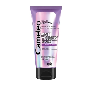 Delia Cosmetics Cameleo Silver odżywka do włosów blond 200 ml