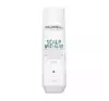 GOLDWELL SCALP SPECIALIST ANTI-DANDRUFF SZAMPON PRZECIWŁUPIEŻOWY 250ML