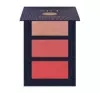 Pierre Rene Art paleta do konturowania twarzy 01 12g