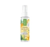 Lirene Power of Plants Mango hydrolat z mango 100 ml
