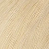 Alfaparf Milano Evolution Of The Color trwała farba do włosów 11.13 Platinum Ash Gold 60 ml