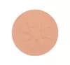 Pastel Show Your Purity puder do twarzy 102 Finish 9,3g