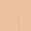 NYX Professional Makeup Pro Fix Stick korektor w sztyfcie do twarzy 05 Vanilla 1,6 g